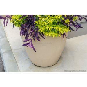 18_9_additional image.jpg image